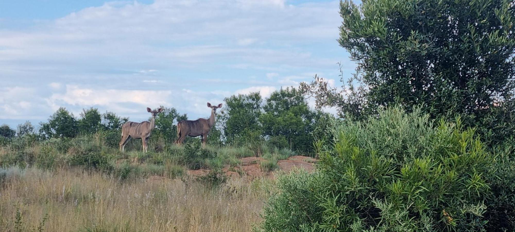 Kareekloof Game Farm Vila Derby Exterior foto